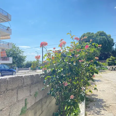 דירה Seaside Happy Place-apartment In Palio Kavala *